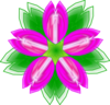 Five Petalled Flower Clip Art